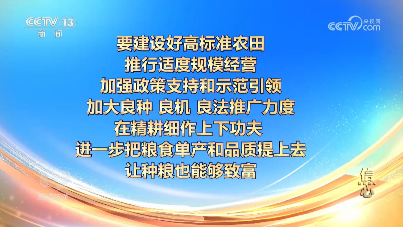 焦点访谈信心2024！今年我国粮食产量首次超过14万亿斤(图2)