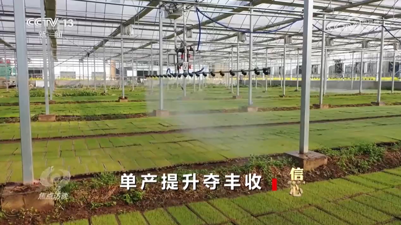 焦点访谈信心2024！今年我国粮食产量首次超过14万亿斤(图3)