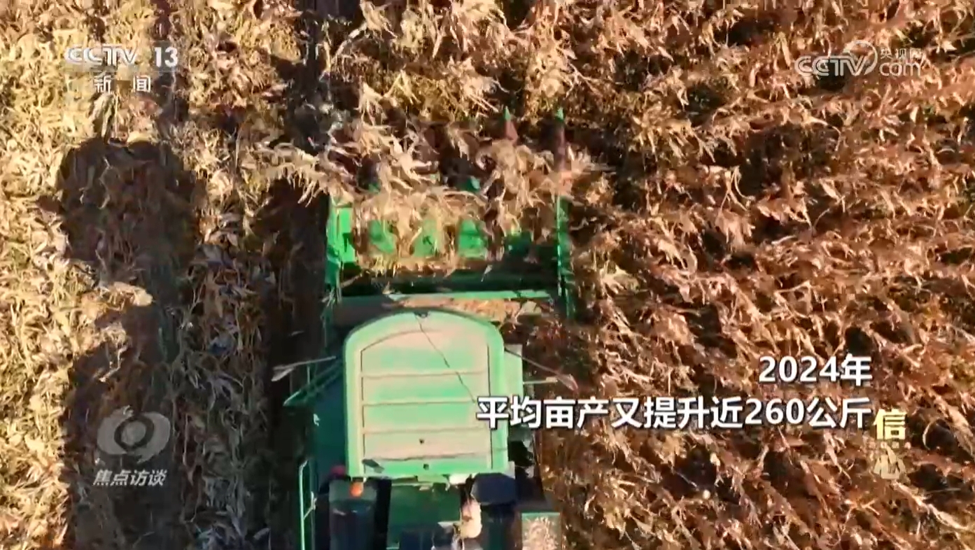 焦点访谈信心2024！今年我国粮食产量首次超过14万亿斤(图6)