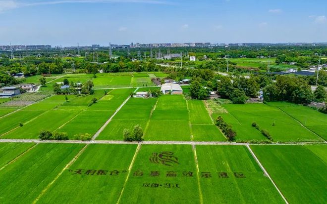 科技赋能温江区万春稻菜现代农业园区获评四川省四星级现代农业园区(图1)
