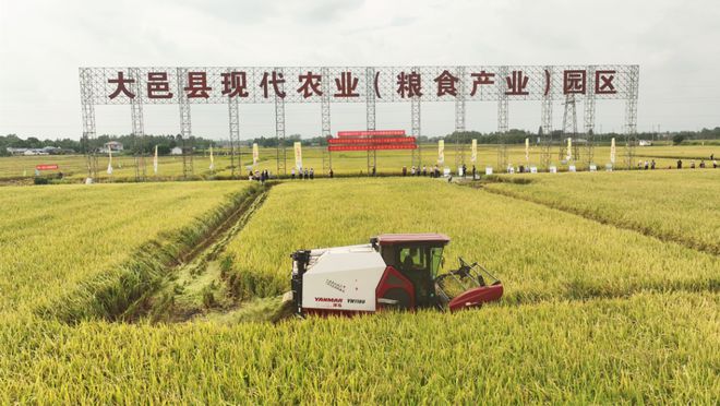 成都新活力:田园绘盛景农业谱新篇(图3)