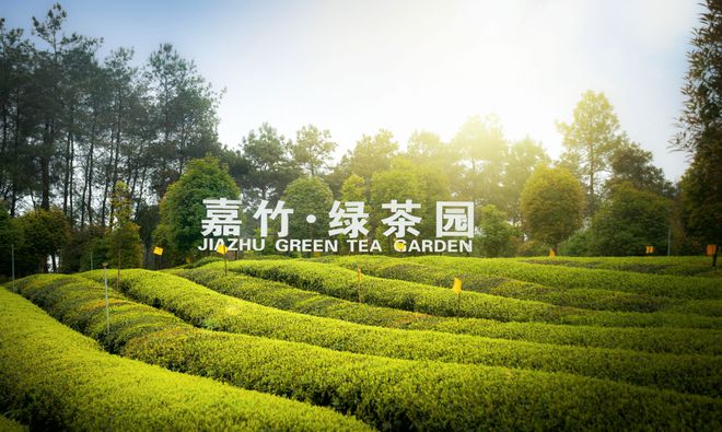 成都新活力:田园绘盛景农业谱新篇(图4)
