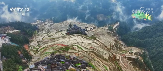 万象“耕”新绘“丰”景各地多彩春耕画面拼就“三农”丰收盛景图Bwin必赢(图14)