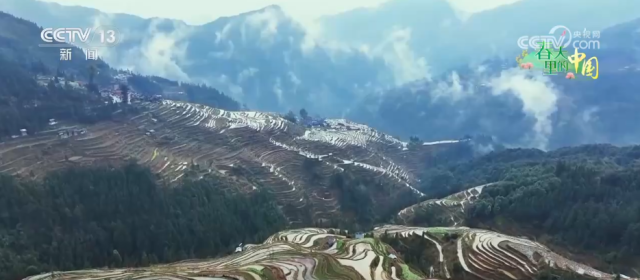 万象“耕”新绘“丰”景各地多彩春耕画面拼就“三农”丰收盛景图Bwin必赢(图15)