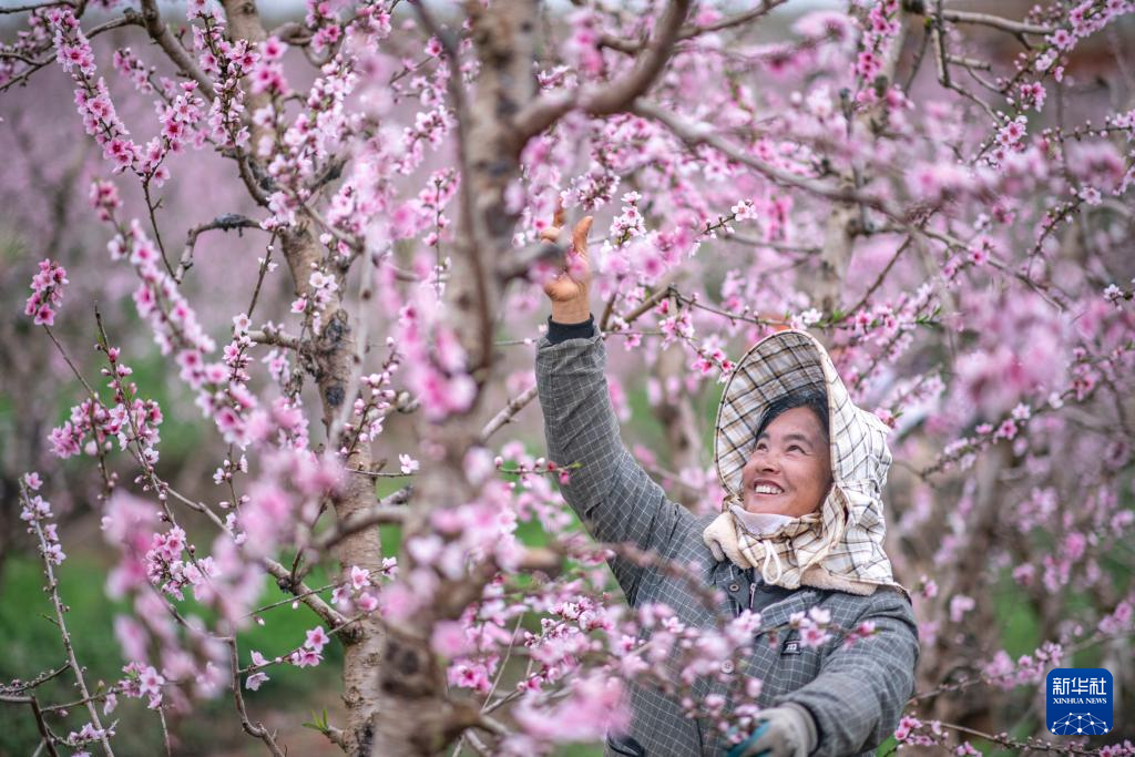 镜头里的春日经济——春耕里的“科技范儿”(图1)