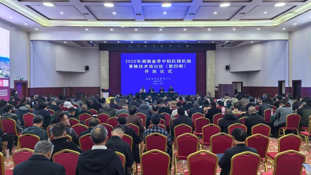 2025年湖南省早中稻机插机抛育秧技术培训班在洞口举行必赢国际(图1)