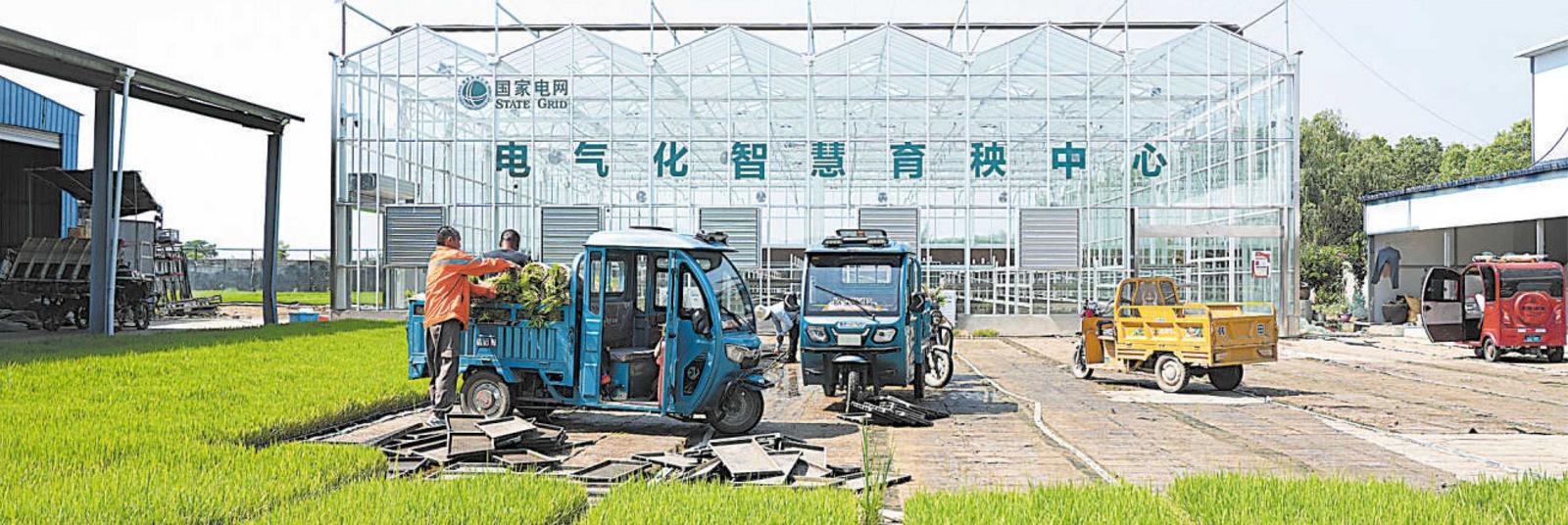 新质生产力为农业现代化注入澎湃动能(图1)