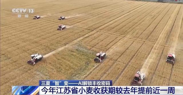 三夏“智”变丨看农田里的“AI新农友”如何助力丰收(图15)