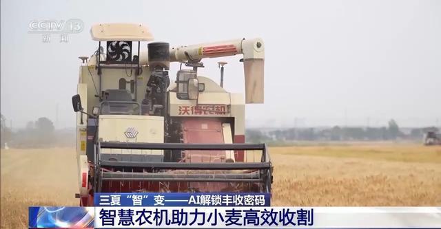 三夏“智”变丨看农田里的“AI新农友”如何助力丰收(图16)