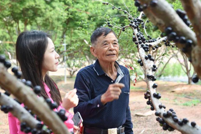 四季果香引客来生态农业谱新篇必赢国际(图2)