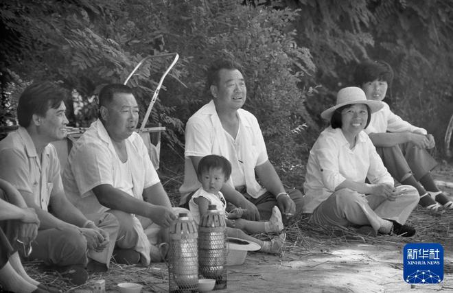 时光相册丨从“弯腰挥镰”到“科技加持”一组照片看麦收变迁！(图10)