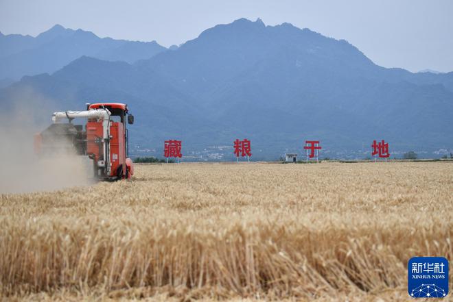 时光相册丨从“弯腰挥镰”到“科技加持”一组照片看麦收变迁！(图19)
