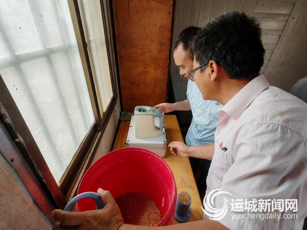 旱田麦浪里的科技突围(图1)