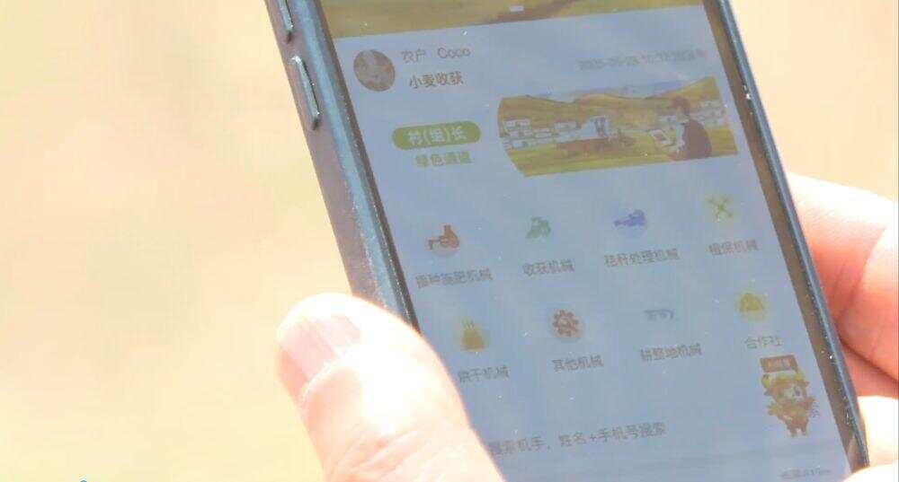 必赢“三夏”生产一线观察｜抢收抢种不误时农业生产高效推进(图8)