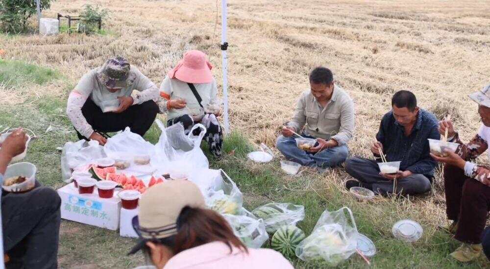 必赢“三夏”生产一线观察｜抢收抢种不误时农业生产高效推进(图11)