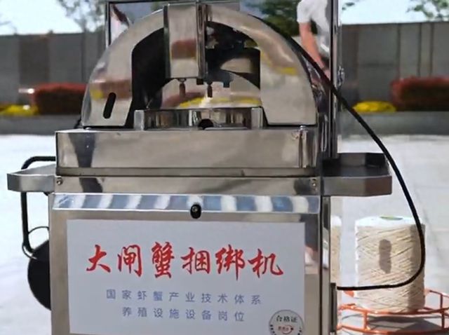 太牛了！大闸蟹捆绑机全过程仅需4秒(图1)