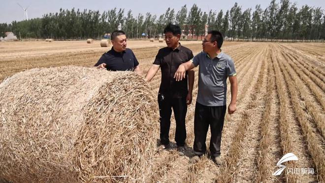 夏津县：“秸”尽所能“生态包袱”变成“绿色财富”(图2)