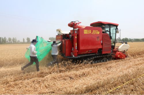 党旗插在农田里——潍柴雷沃守护大国粮安的红色密码(图7)