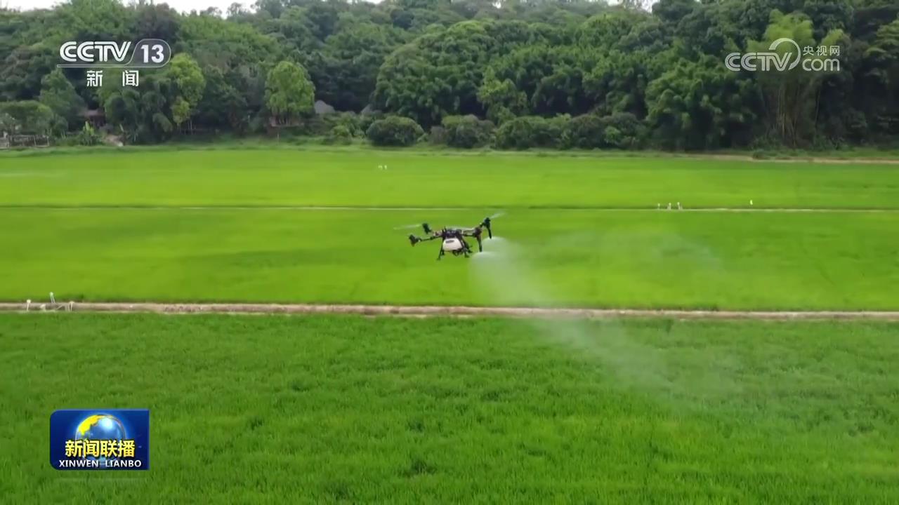 【在希望的田野上·三夏时节】向科技要产能助力全年粮食丰收(图3)