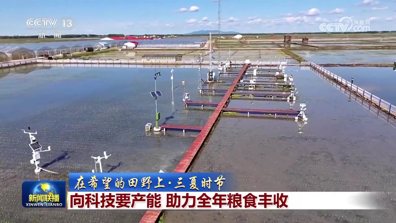 【在希望的田野上·三夏时节】向科技要产能助力全年粮食丰收(图2)