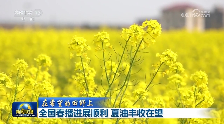 各领域开局良好、外资企业一投再投……多侧面透视中国经济强劲动力(图4)