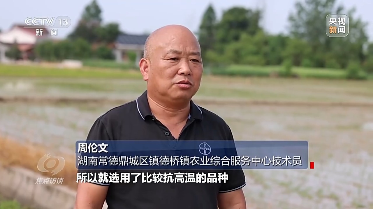 焦点访谈丨良田+良种+良机法来看各地保丰收秘籍Bwin必赢(图3)