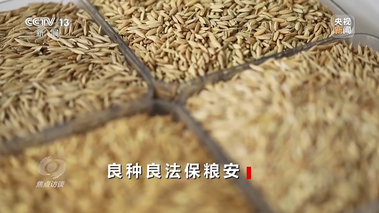 焦点访谈丨良田+良种+良机法来看各地保丰收秘籍Bwin必赢(图5)