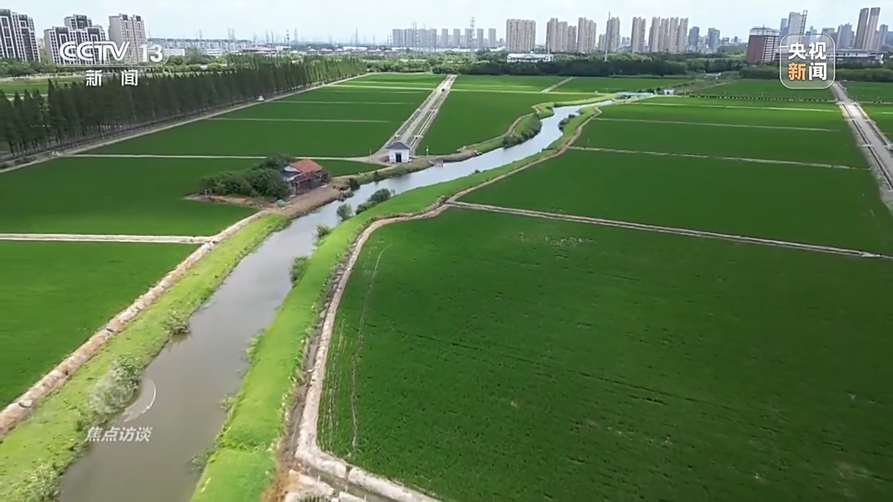 焦点访谈丨良田+良种+良机法来看各地保丰收秘籍Bwin必赢(图8)
