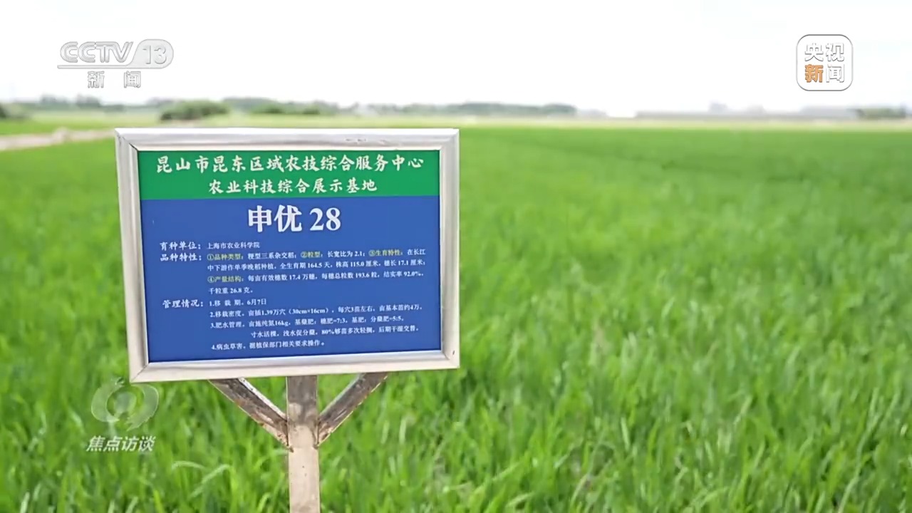 焦点访谈丨良田+良种+良机法来看各地保丰收秘籍Bwin必赢(图9)