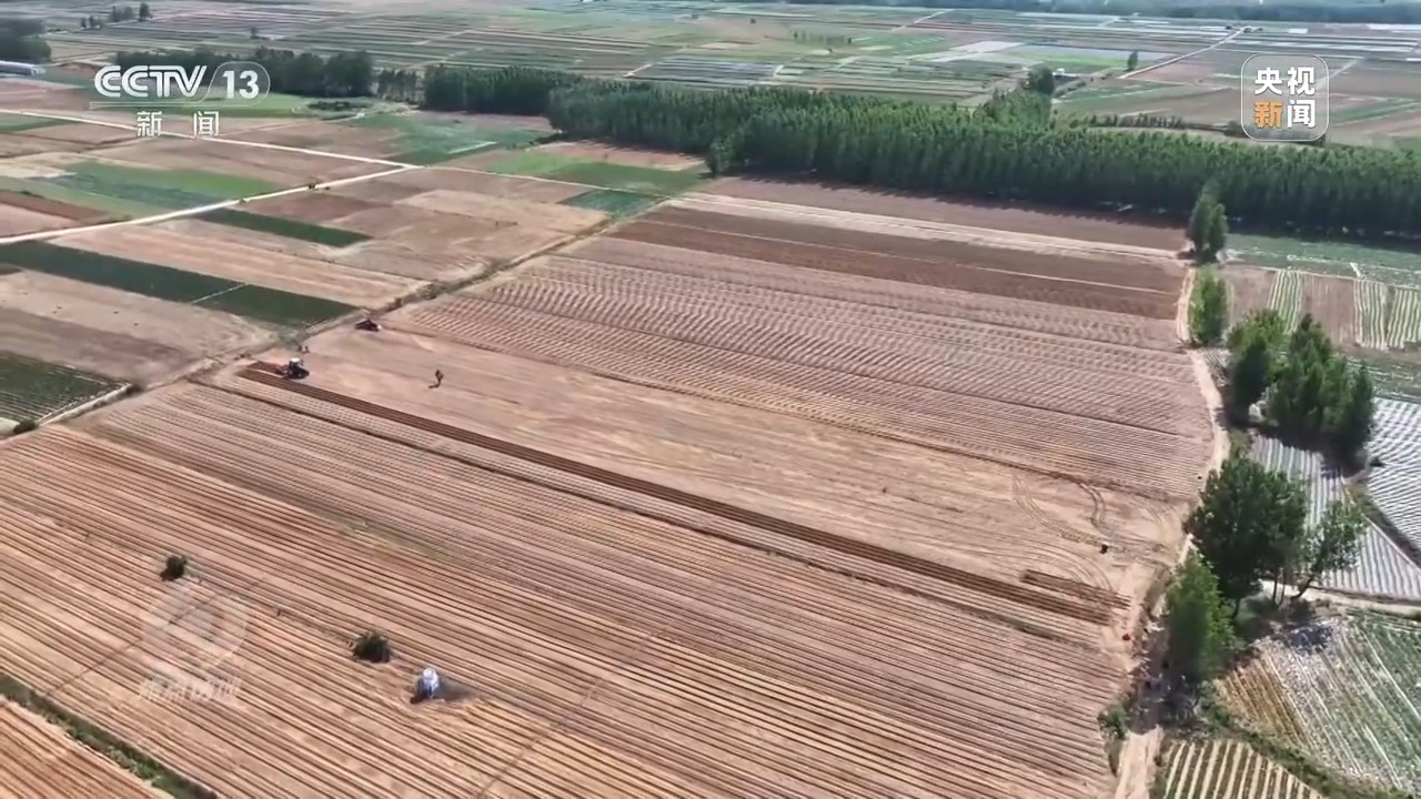 焦点访谈丨良田+良种+良机法来看各地保丰收秘籍Bwin必赢(图13)