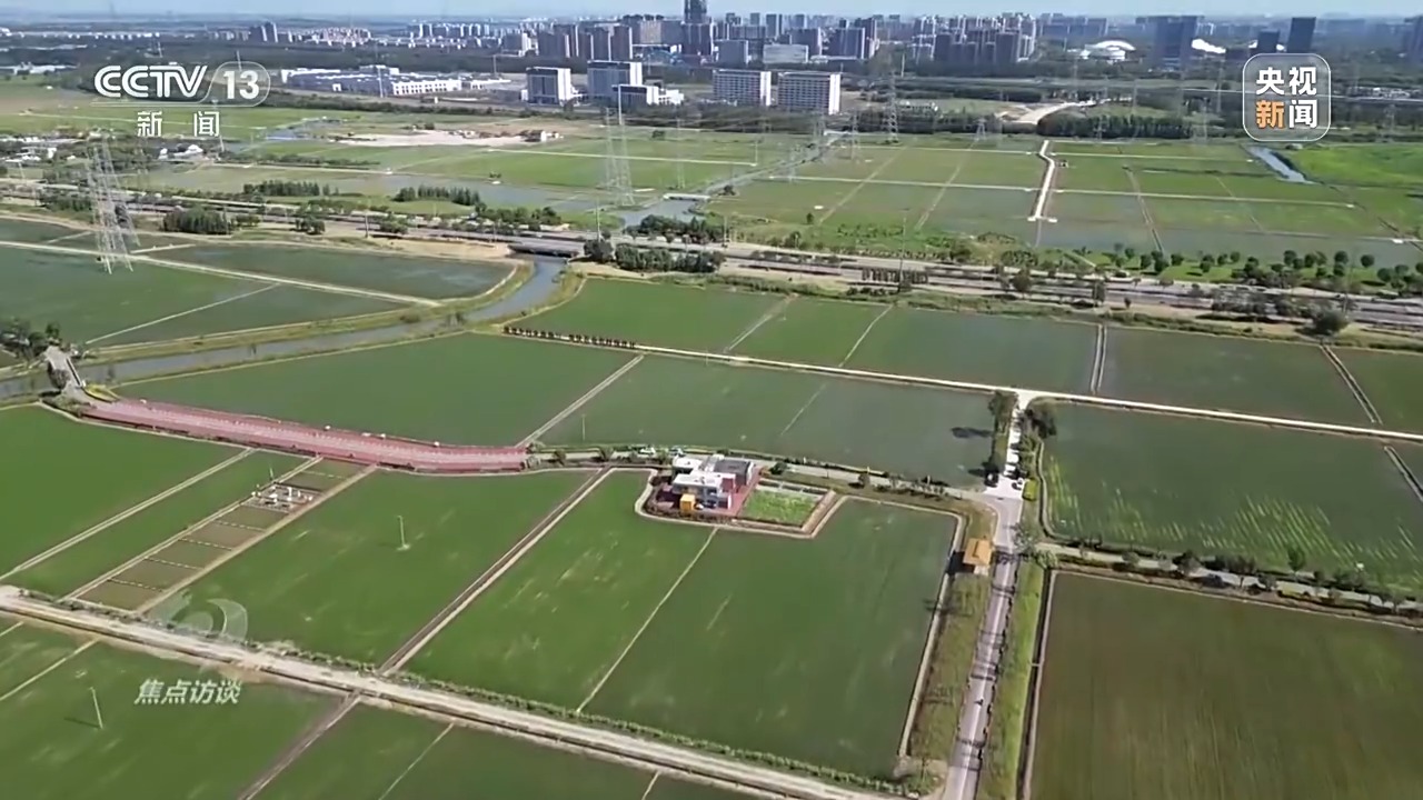 焦点访谈丨良田+良种+良机法来看各地保丰收秘籍Bwin必赢(图12)