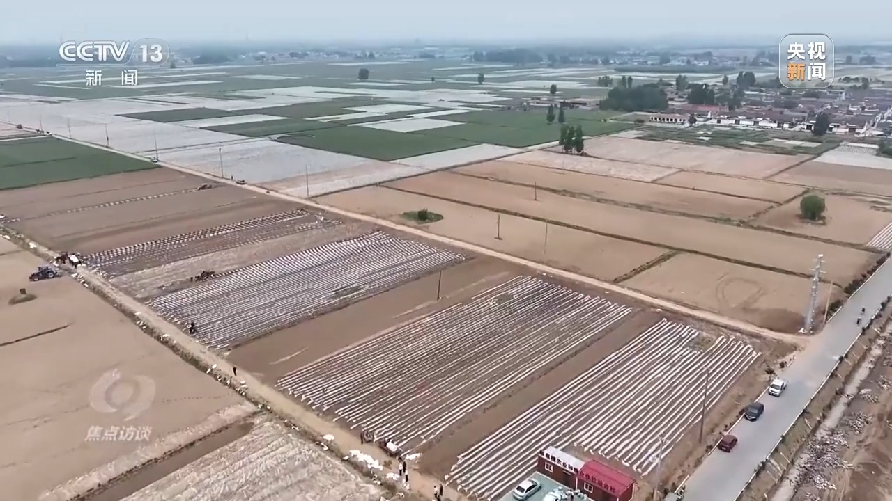 焦点访谈丨良田+良种+良机法来看各地保丰收秘籍Bwin必赢(图18)
