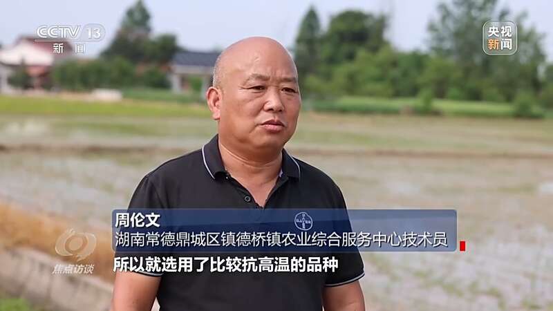 良田+良种+良机法来看各地保丰收秘籍(图3)
