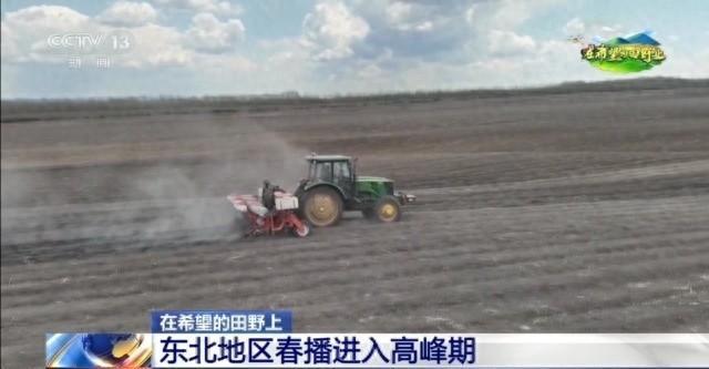在希望的田野上丨东北春播进必赢国际度近三成一键查看各地农业生产进度条→(图1)