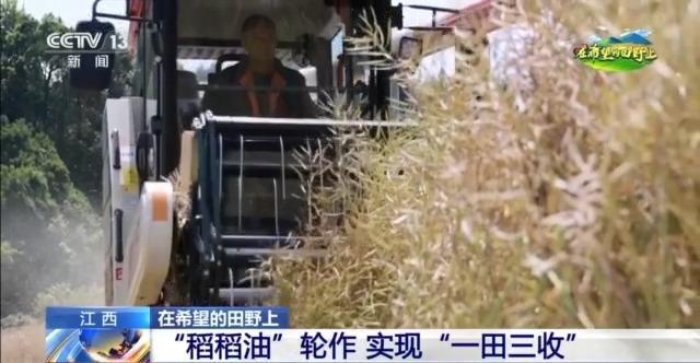 在希望的田野上丨东北春播进必赢国际度近三成一键查看各地农业生产进度条→(图3)