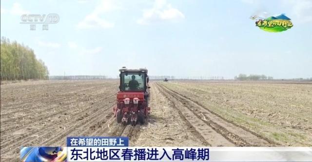 在希望的田野上丨东北春播进必赢国际度近三成一键查看各地农业生产进度条→(图2)
