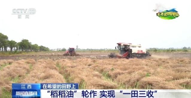 在希望的田野上丨东北春播进必赢国际度近三成一键查看各地农业生产进度条→(图4)