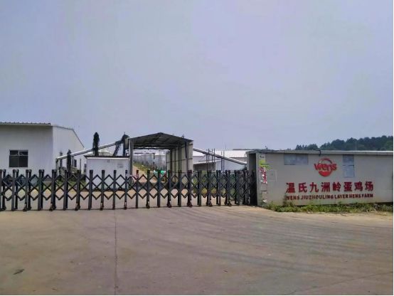 湖南蛋鸡企业前十强(图5)