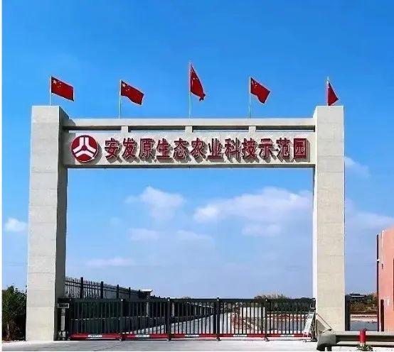 湖南蛋鸡企业前十强(图4)