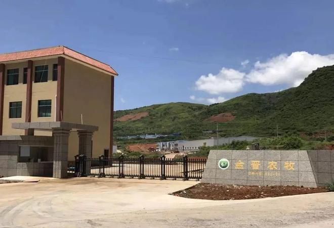 湖南蛋鸡企业前十强(图3)