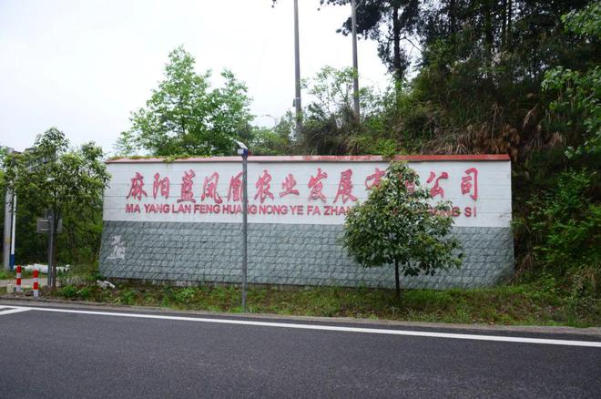 湖南蛋鸡企业前十强(图9)
