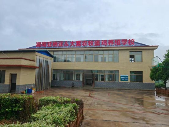 湖南蛋鸡企业前十强(图6)