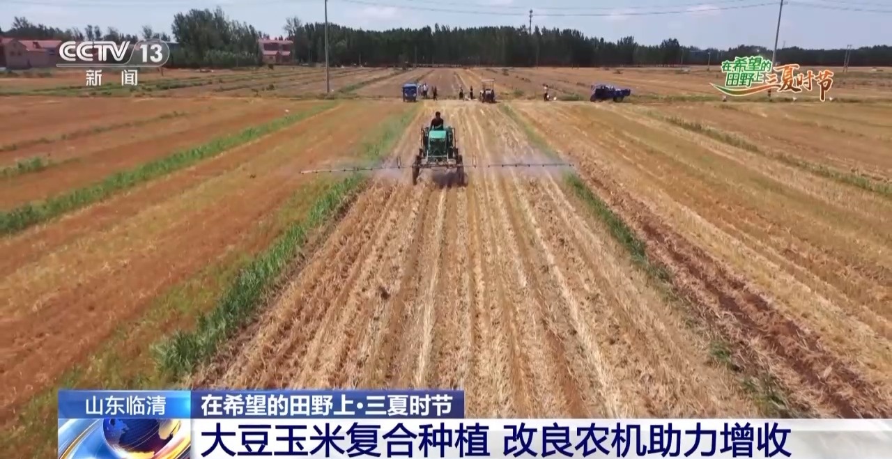 农田进了“托管班”、一地双收赚翻了……各地夏粮丰收有“粮”方(图3)