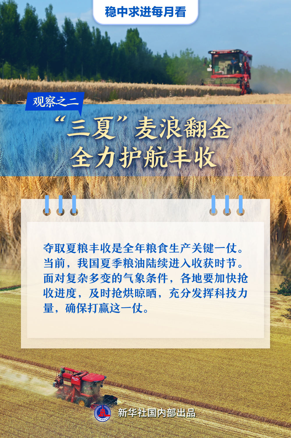 必赢国际稳中求进每月看｜破浪前行风帆劲——5月全国各地经济社会发展观察(图2)