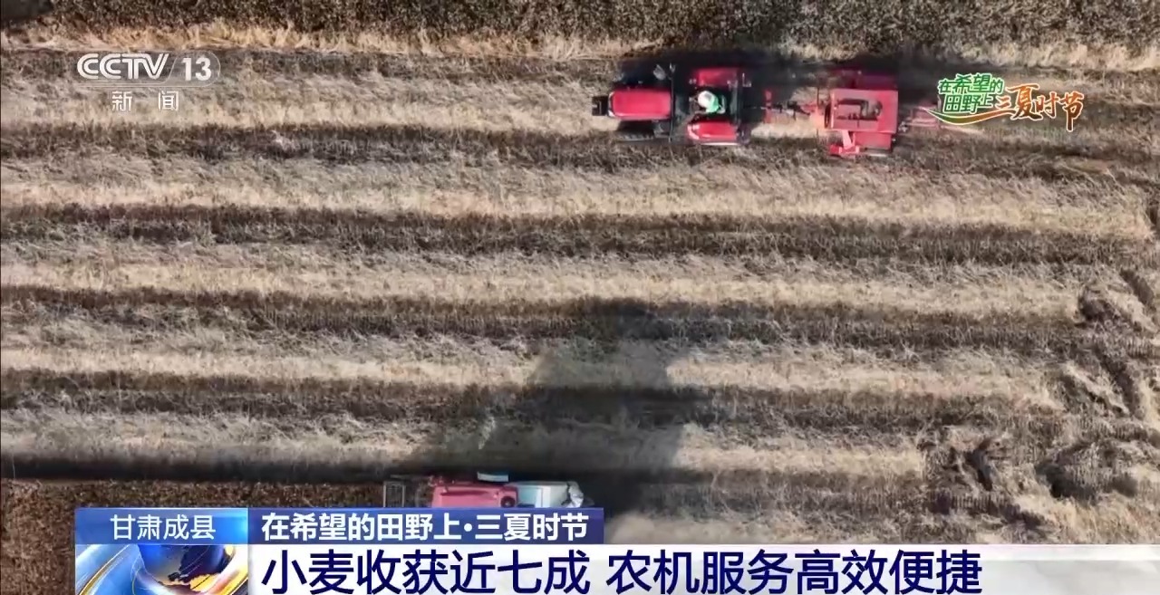 一看二数三称重四“统一”解锁层层梯田上小麦的丰收密码(图5)