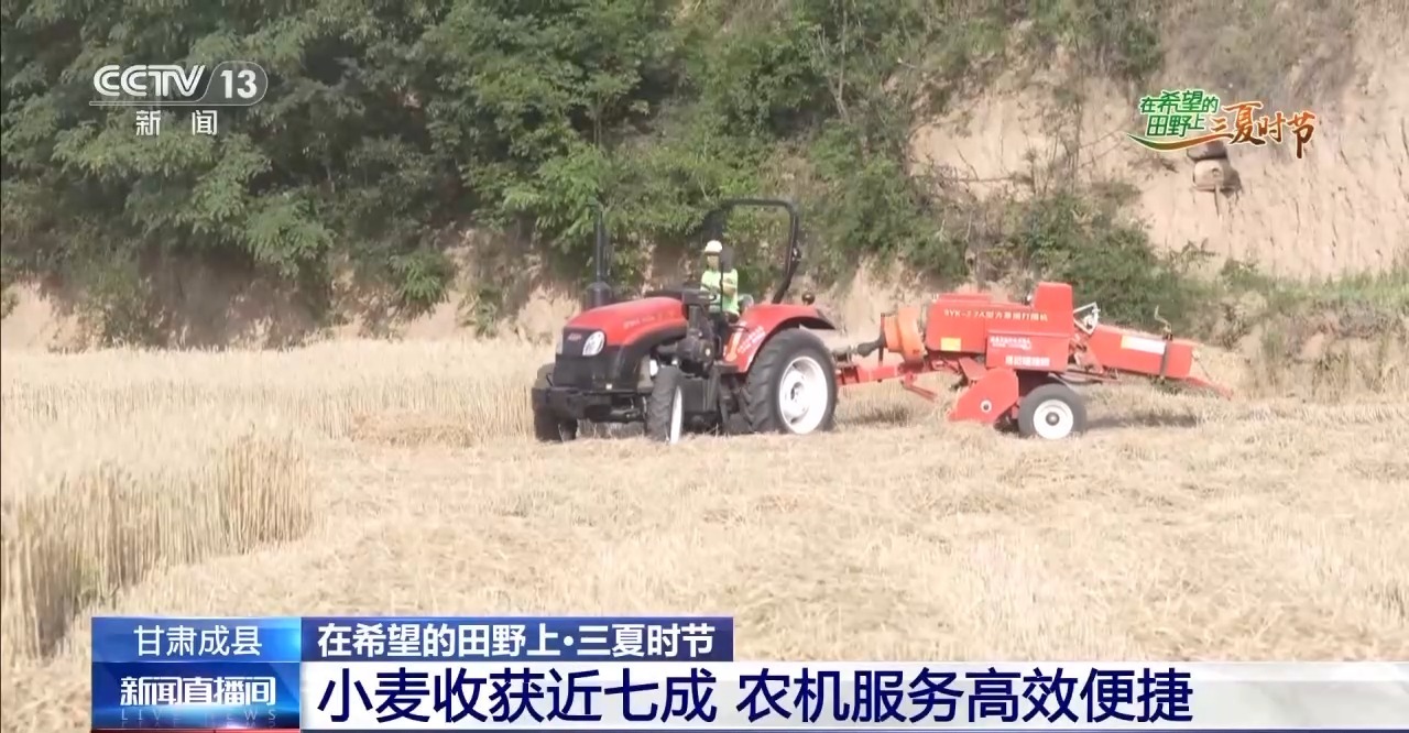 一看二数三称重四“统一”解锁层层梯田上小麦的丰收密码(图6)