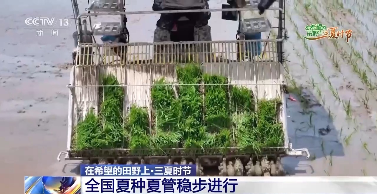 一看二数三称重四“统一”解锁层层梯田上小麦的丰收密码(图7)