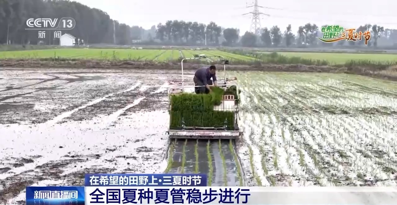 一看二数三称重四“统一”解锁层层梯田上小麦的丰收密码(图8)