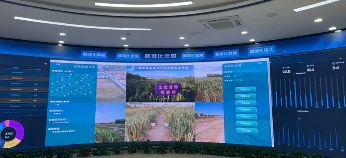 中国小米的国家记忆:必赢从小米加步枪到金色产业(图10)