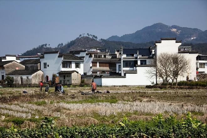 2025年农民“享福”了改造升级、修路补贴利好政策不断必赢国际(图2)